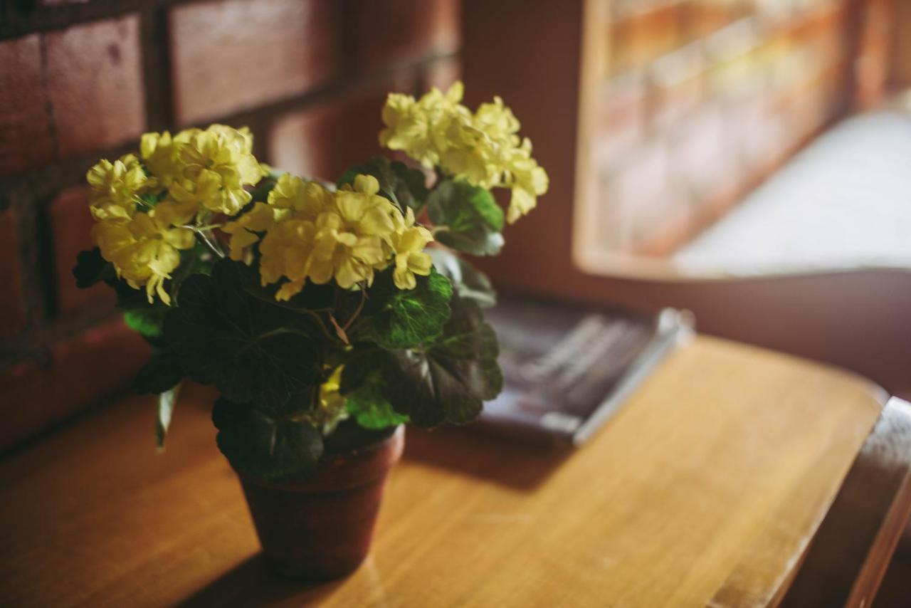 Posada Edelweiss Oxapampa Ngoại thất bức ảnh